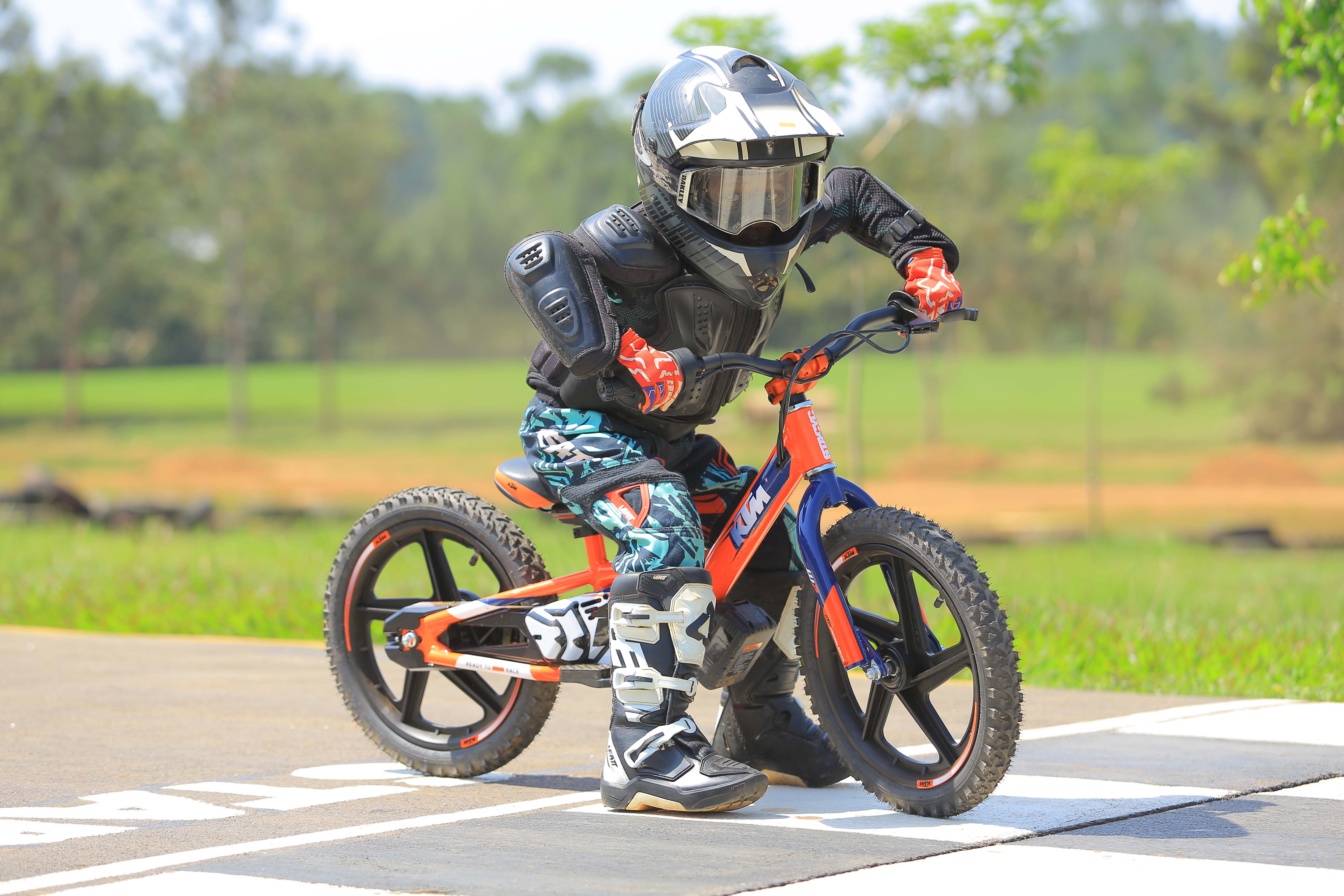 Electric Bikes