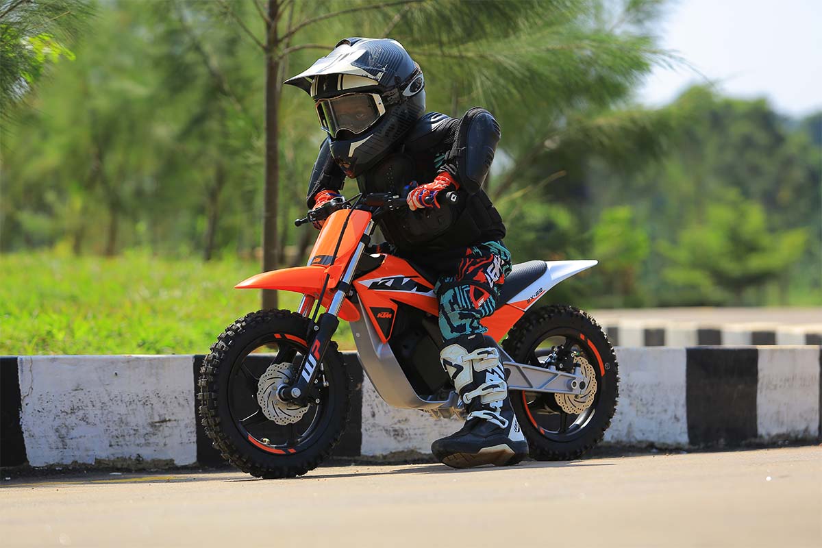 Electric Bikes